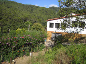 masia restaurant can jane entorn natural collserola